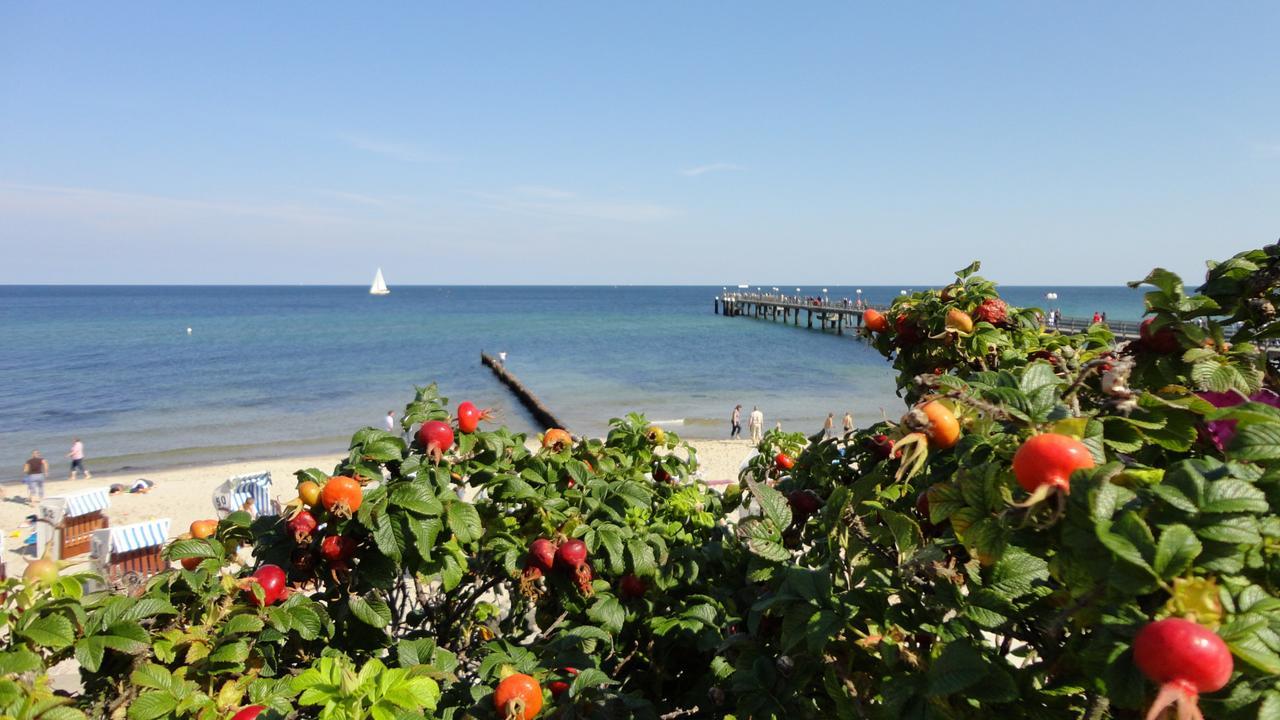 Parkhotel IV Jahreszeiten Ostseebad Kühlungsborn エクステリア 写真